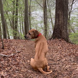 Meet your Posher, Elle